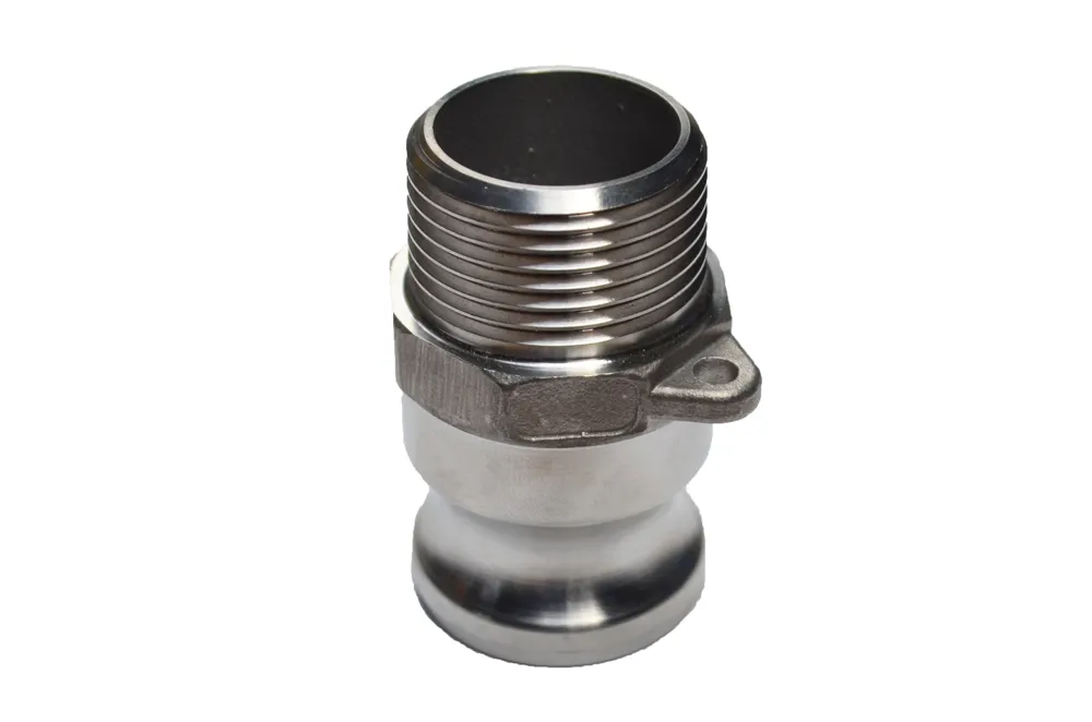 RVS 316L 1.4404 Camlock Type F bu (vader) BSP 3/4"